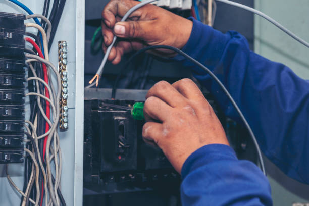 Best Ceiling Fan Installation Electrician  in Harrogate, TN